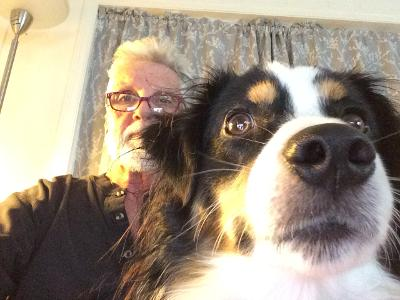 Canine Glamping