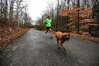 Dog Accidentally Joins A Half-Marathon