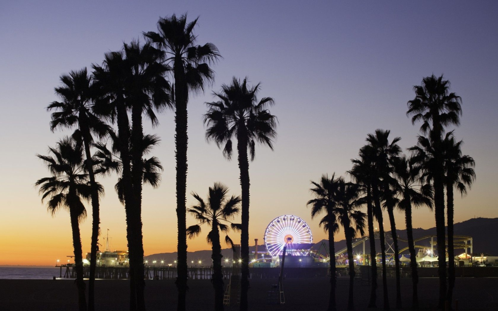 Santa Monica Dead Palms